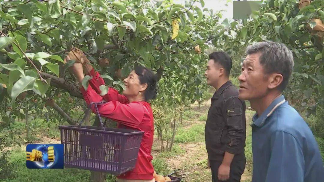 金秋时火狐电竞节话丰收(图3)