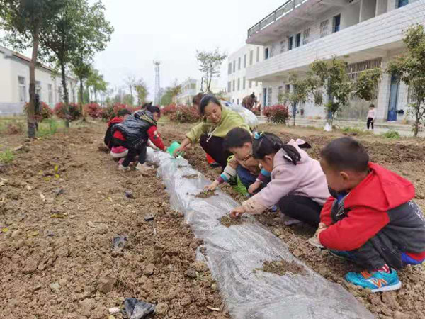 火狐电竞定远县仁和学校“文明种植园”开园啦(图3)