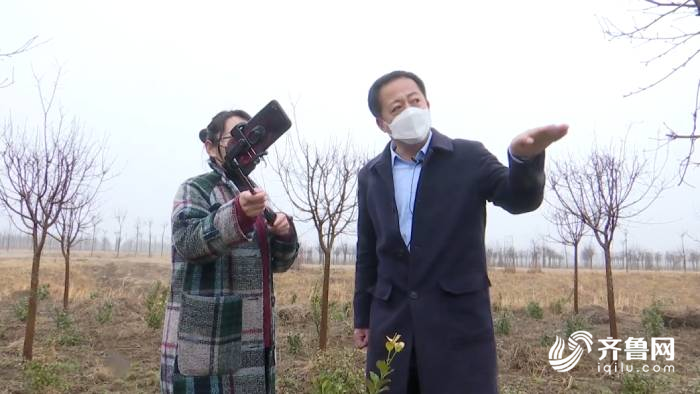 火狐电竞79秒｜直播签下4000万大单！德州一苗木大户“巧”变销售模式网上卖树(图1)