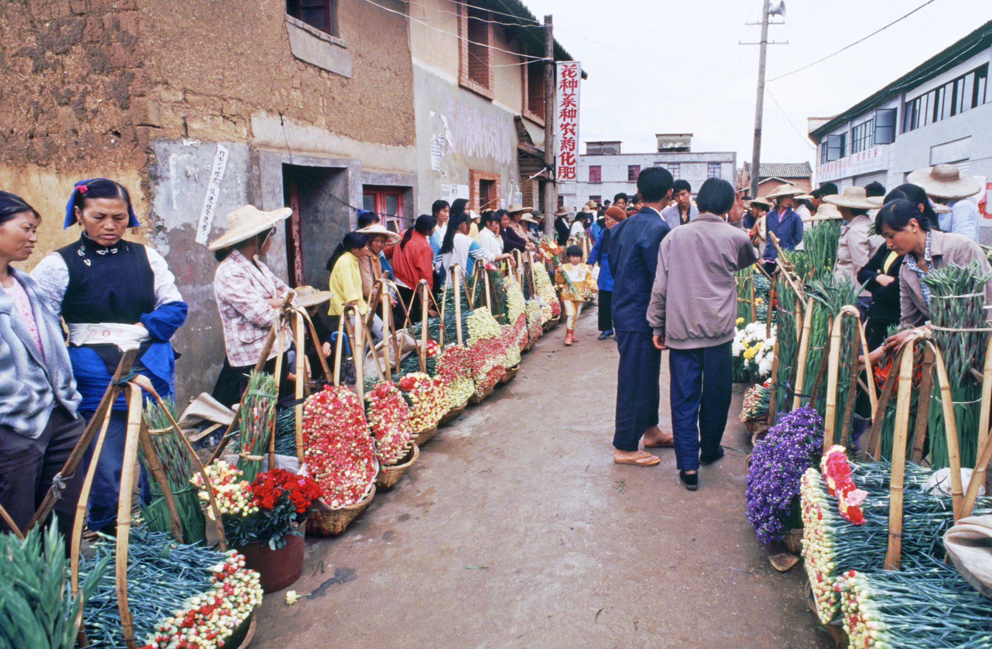 一枝鲜花飘香世界的时代印记 ——斗南花卉产业发展40年火狐电竞综述(图2)