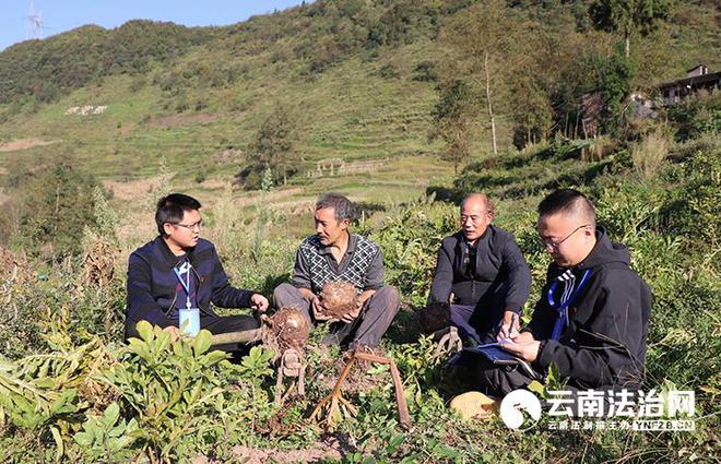 火狐电竞东风吹来产业兴——全省纪检监察机关护航产业发展侧记(图1)