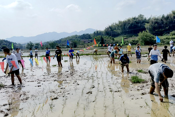 “劳动”托起少年梦！湖南多地青少年劳动教育这火狐电竞样开展(图3)