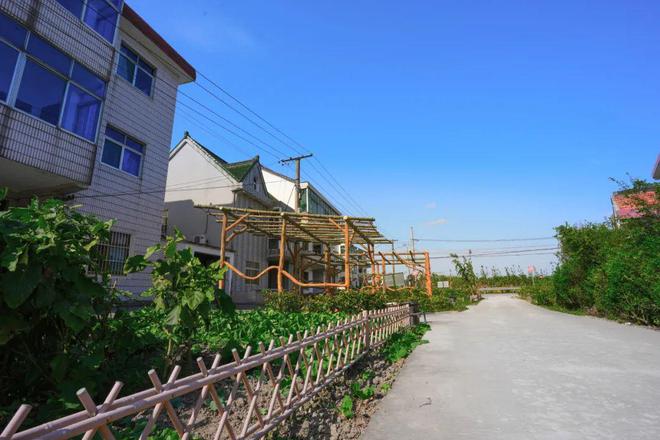 火狐电竞喜报！乡村振兴示范村+1美丽乡村示范村+2(图9)