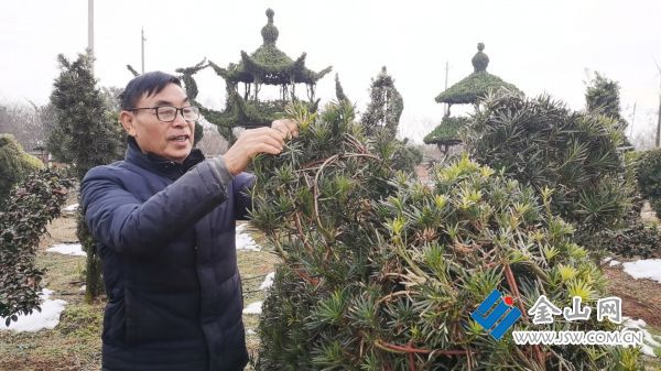 江苏丹阳：劳模“父子兵” 同引“共富路”火狐电竞(图2)
