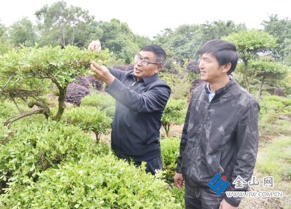江苏丹阳：劳模“父子兵” 同引“共富路”火狐电竞(图1)