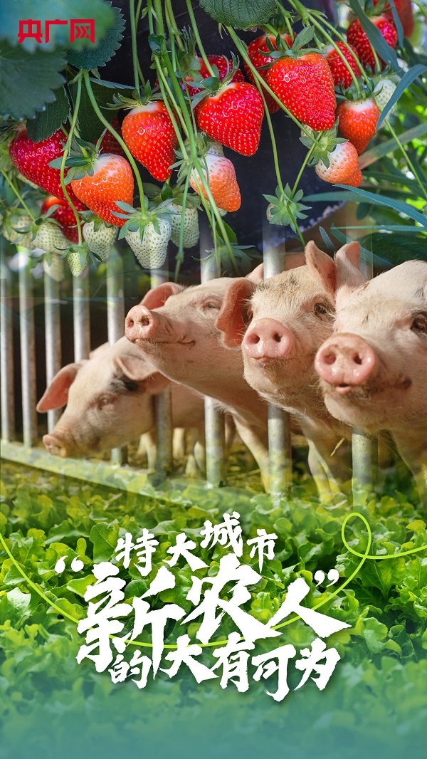 火狐电竞开年看一线丨特大城市“新农人”的大有可为！(图1)